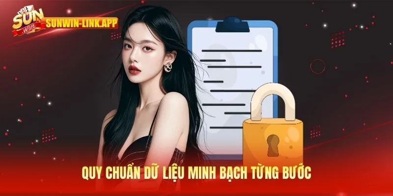 Quy chuẩn dữ liệu minh bạch từng bước